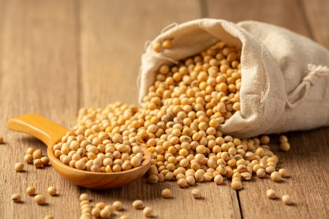 Soy Beans